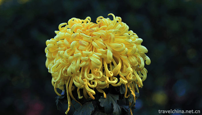 Tianjin-Water-Park-15