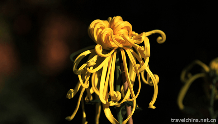 Tianjin-Water-Park-13
