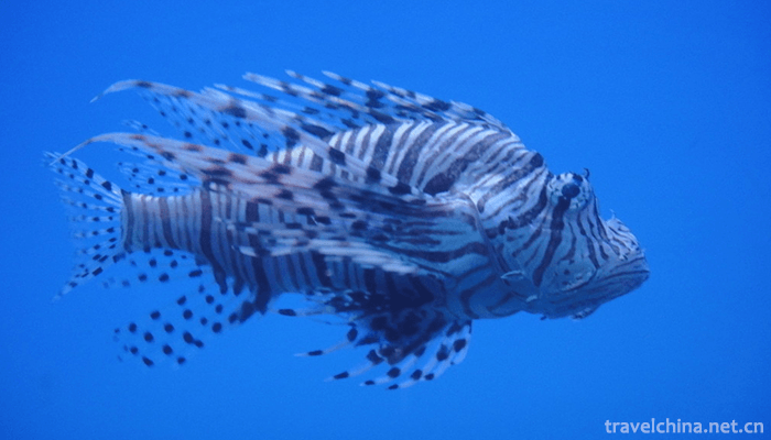 Tianjin-Polar-Ocean-World-1