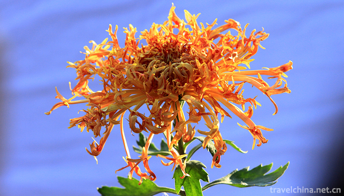 Tianjin-Water-Park-4