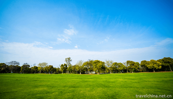 Wu-Songgun-Taiwan-Wetland-Forest-Park-4