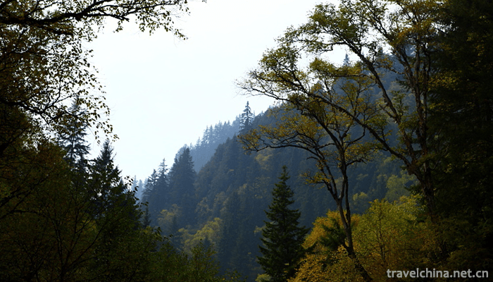 The-tru-Valley-3