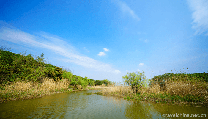 Wu-Songgun-Taiwan-Wetland-Forest-Park-19