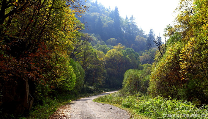 The-tru-Valley-7