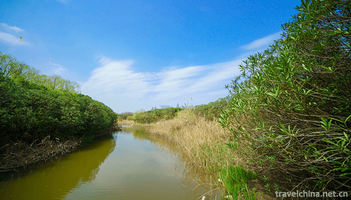 Wu-Songgun-Taiwan-Wetland-Forest-Park-16