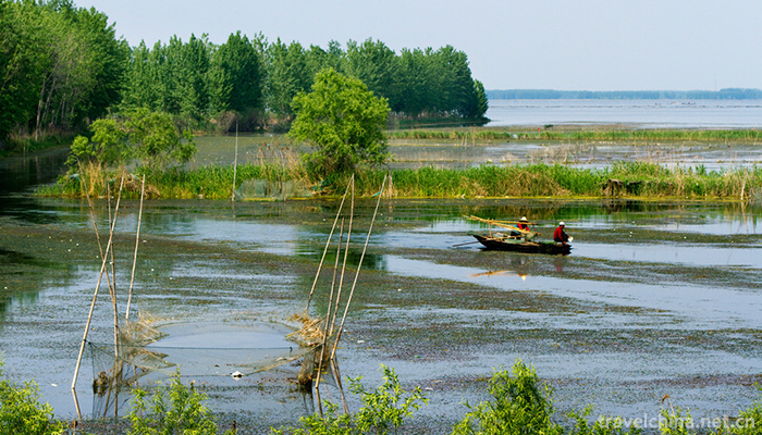 Weishan-Lake-National-Wetland-Park-3
