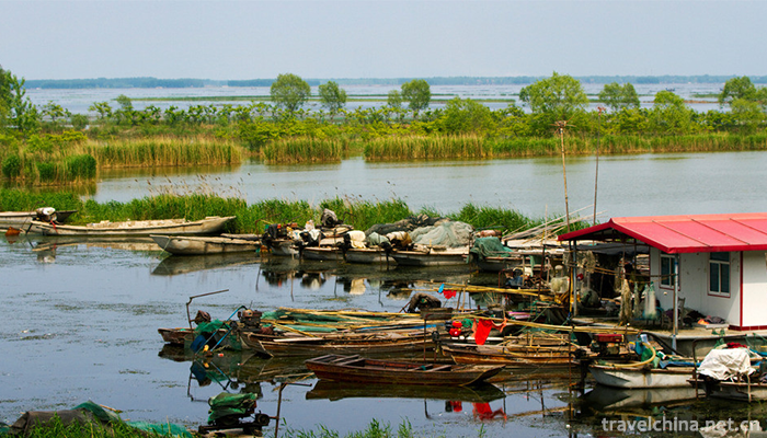 Weishan-Lake-National-Wetland-Park-4