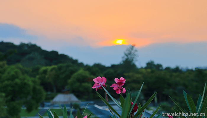 Wu-Songgun-Taiwan-Wetland-Forest-Park-20