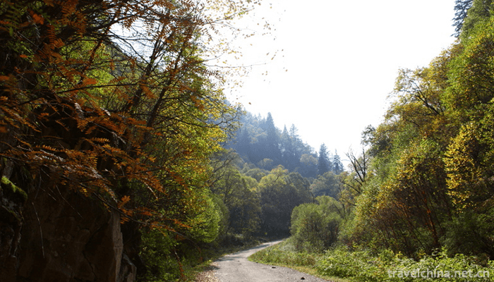 The-tru-Valley-6