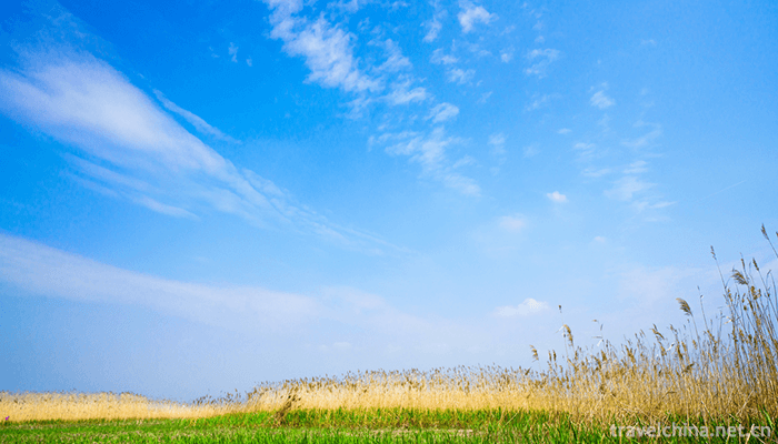 Wu-Songgun-Taiwan-Wetland-Forest-Park-2