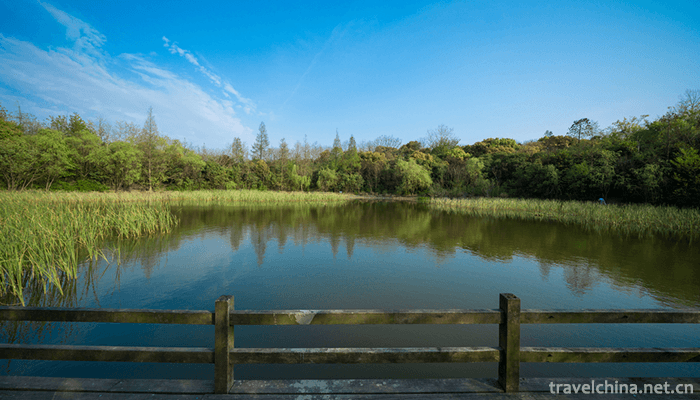 Wu-Songgun-Taiwan-Wetland-Forest-Park-12