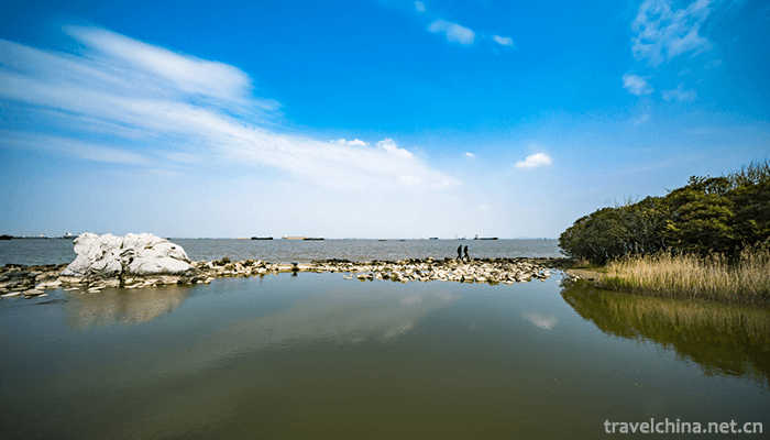 Wu-Songgun-Taiwan-Wetland-Forest-Park-21