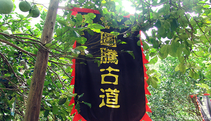 Totem-Road-3