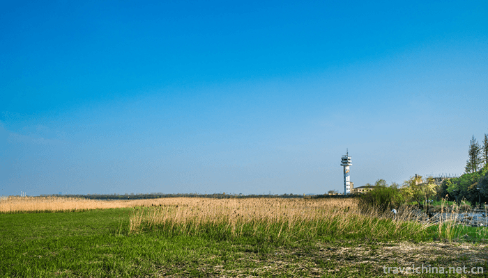Wu-Songgun-Taiwan-Wetland-Forest-Park-17