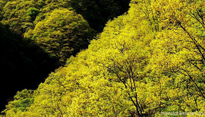 Wang-Wu-Mountain-Scenic-Spot-2