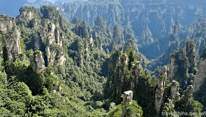 Wulingyuan-5