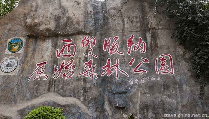 Xishuangbanna-Primitive-Forest-Park-1