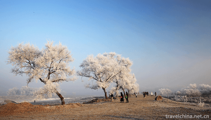 rime-island-4