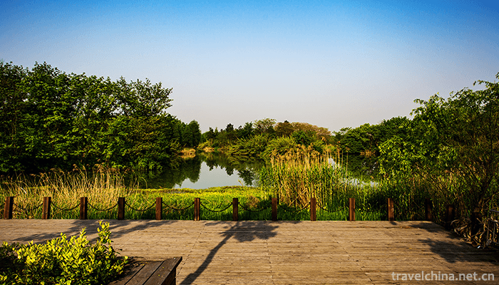 Xixi-Wetland-Tourist-Area-1