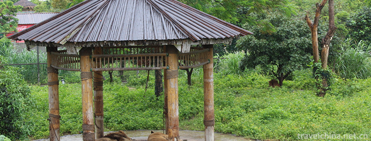 Xiangshi Zoo 