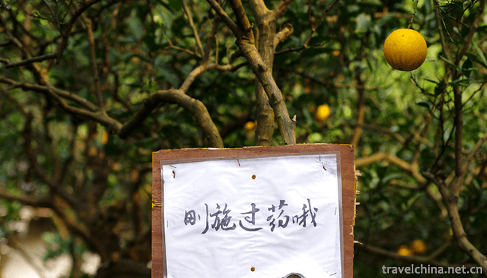 Xijiashan-Folk-House-3