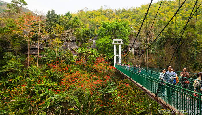 Xishuangbanna-Primitive-Forest-Park-2
