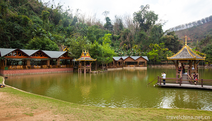 Xishuangbanna-Primitive-Forest-Park-4