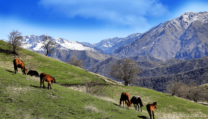 Xinjiang-Tianshan-9