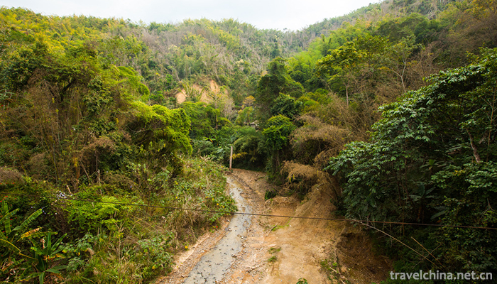 Xishuangbanna-Primitive-Forest-Park-3