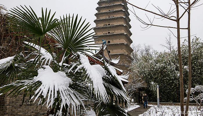 Little-wild-goose-pagoda-8