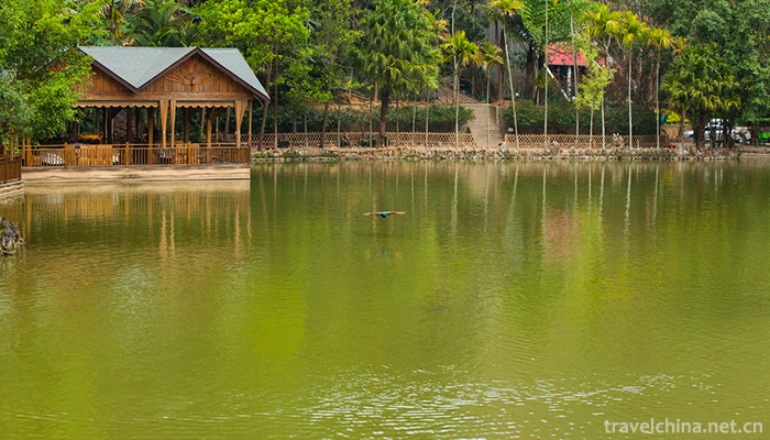 Xishuangbanna-Primitive-Forest-Park-11
