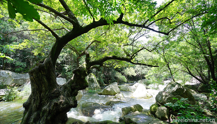Longtan-Valley-Ecological-Scenic-Spot-in-Xixia-1