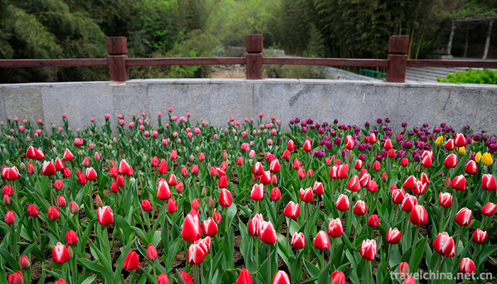 Longtan-Valley-Ecological-Scenic-Spot-in-Xixia-5