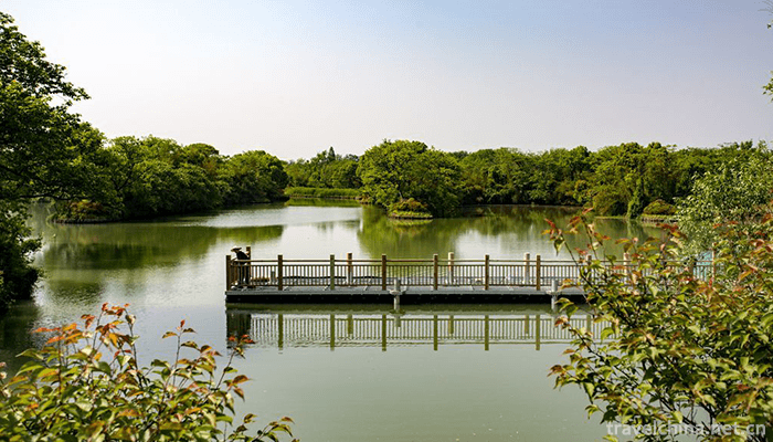 Xixi-Wetland-Tourist-Area-9