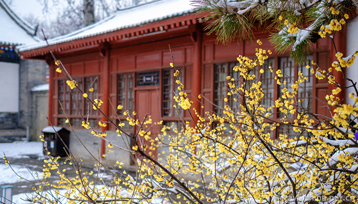 Little-wild-goose-pagoda-6