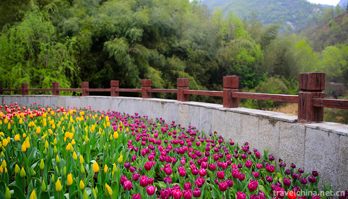 Longtan-Valley-Ecological-Scenic-Spot-in-Xixia-12