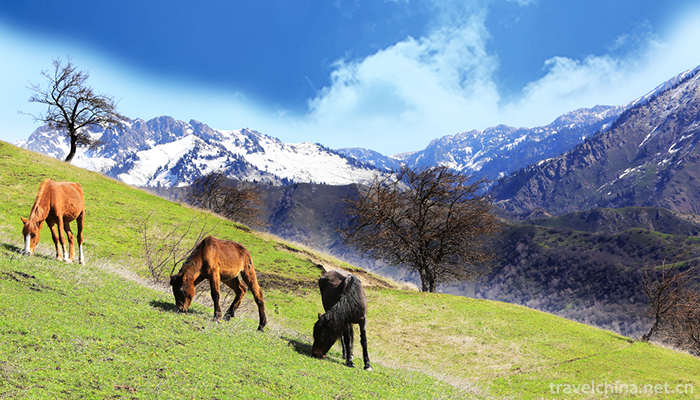 Xinjiang-Tianshan-4
