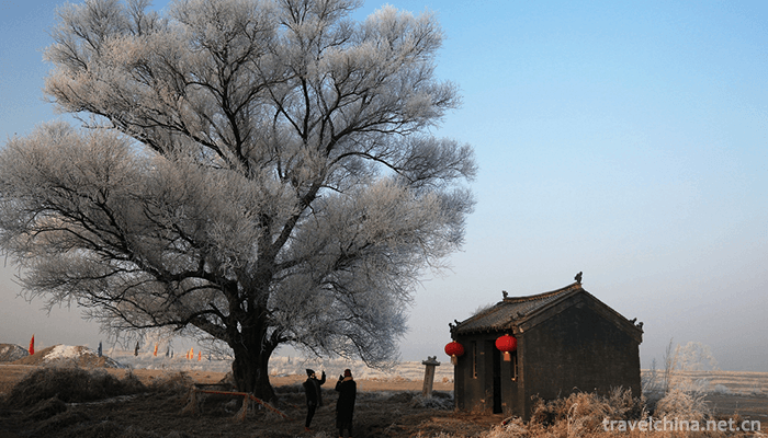 rime-island-3