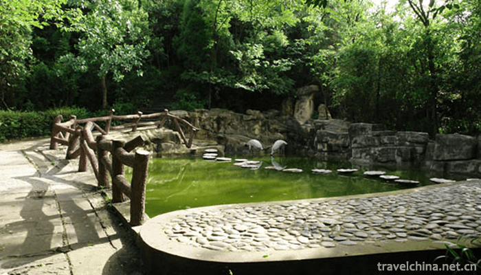 Nanchong-Xishan-Scenic-Area-8