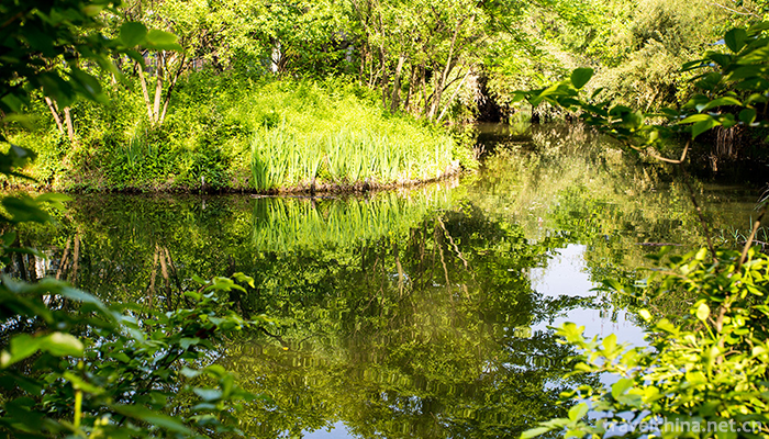 Xixi-Wetland-Tourist-Area-12