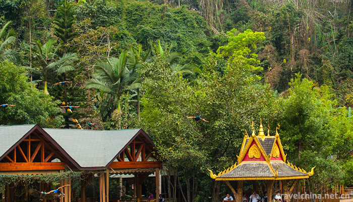 Xishuangbanna-Primitive-Forest-Park-12