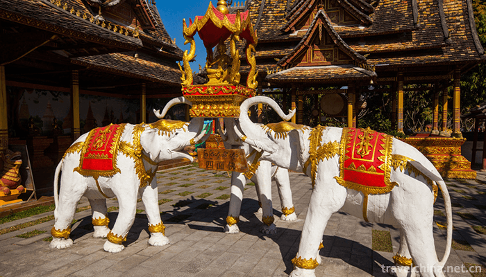 The-Dai-Garden-of-Xishuangbanna-12
