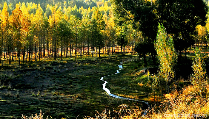 Yanzhi-Mountain-Forest-Park-4