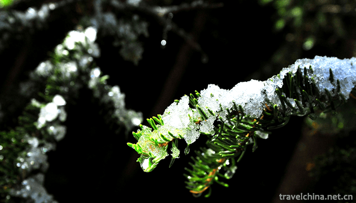 Yanzhi-Mountain-Forest-Park-6