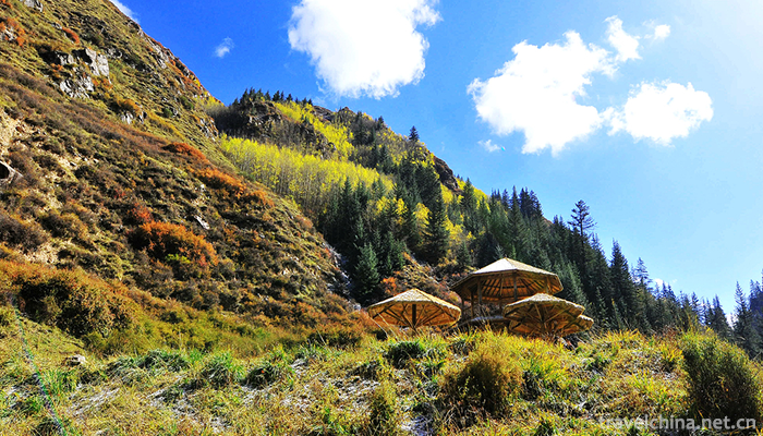Yanzhi-Mountain-Forest-Park-9
