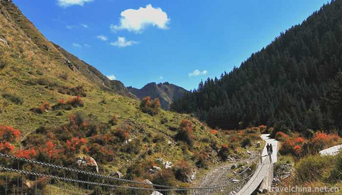 Yanzhi-Mountain-Forest-Park-8