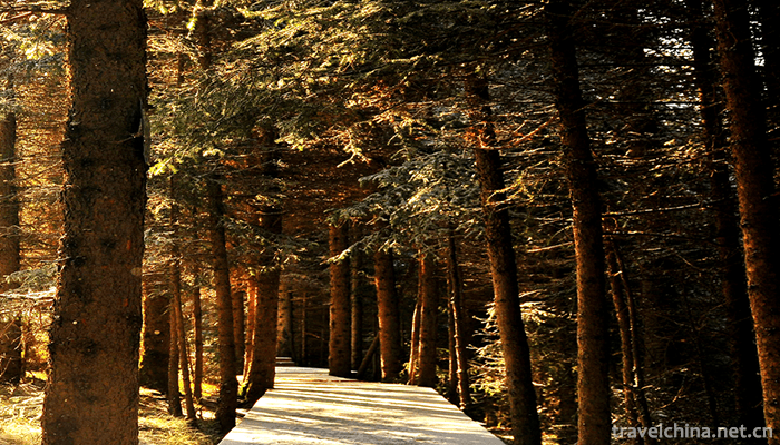 Yanzhi-Mountain-Forest-Park-1