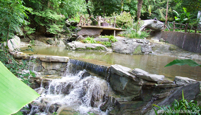 Yangba-Subtropical-Ecotourism-Scenic-Area-4