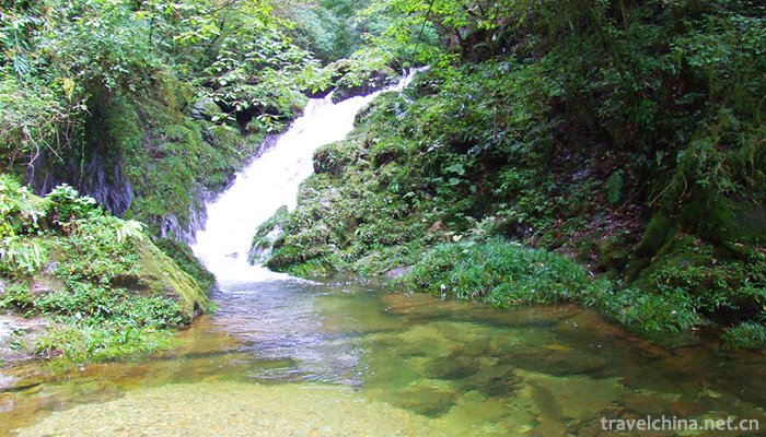 Yangba-Subtropical-Ecotourism-Scenic-Area-5