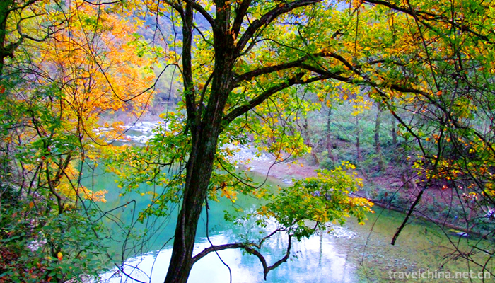Yangba-Subtropical-Ecotourism-Scenic-Area-3